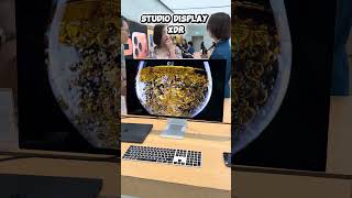 Apple Studio Display XDR vs Apple Studio Display 2026 #apple #appleinsider #applecomputer #tech