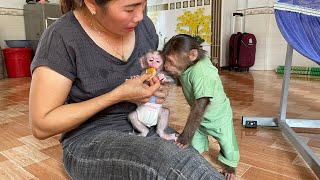 Mom was touched when poor little monkey Tiki's appetite returned