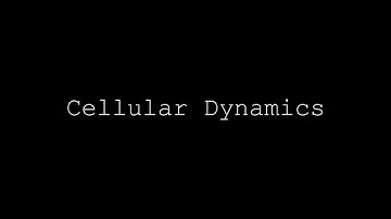 Cellular Dynamics (excerpt)