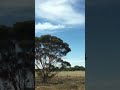 Adelaide to Melbourne V/Line Coach & Train Trip #travel #australia