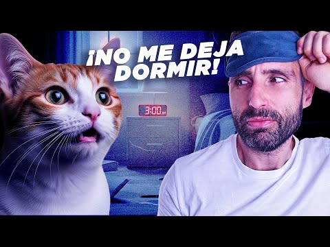 ¿TU GATO NO TE DEJA DORMIR? 🐱🌚😴 Cómo adaptar sus horarios a los tuyos