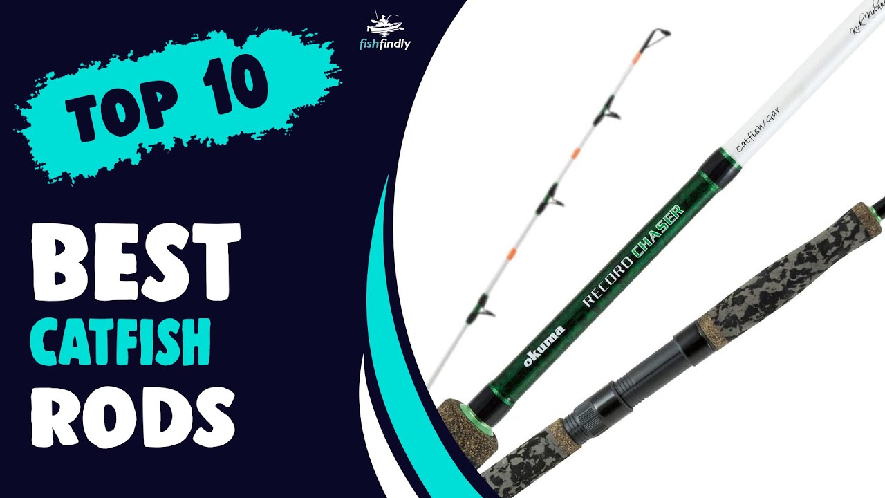 Best Catfish Rods in 2021 – Choose the Perfect One! 