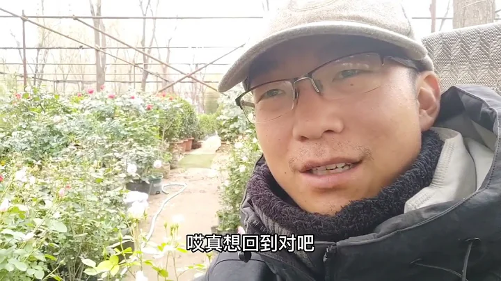 清明放假的花市，零买大军一波接一波，卖的少但利润很可观。 - 天天要闻