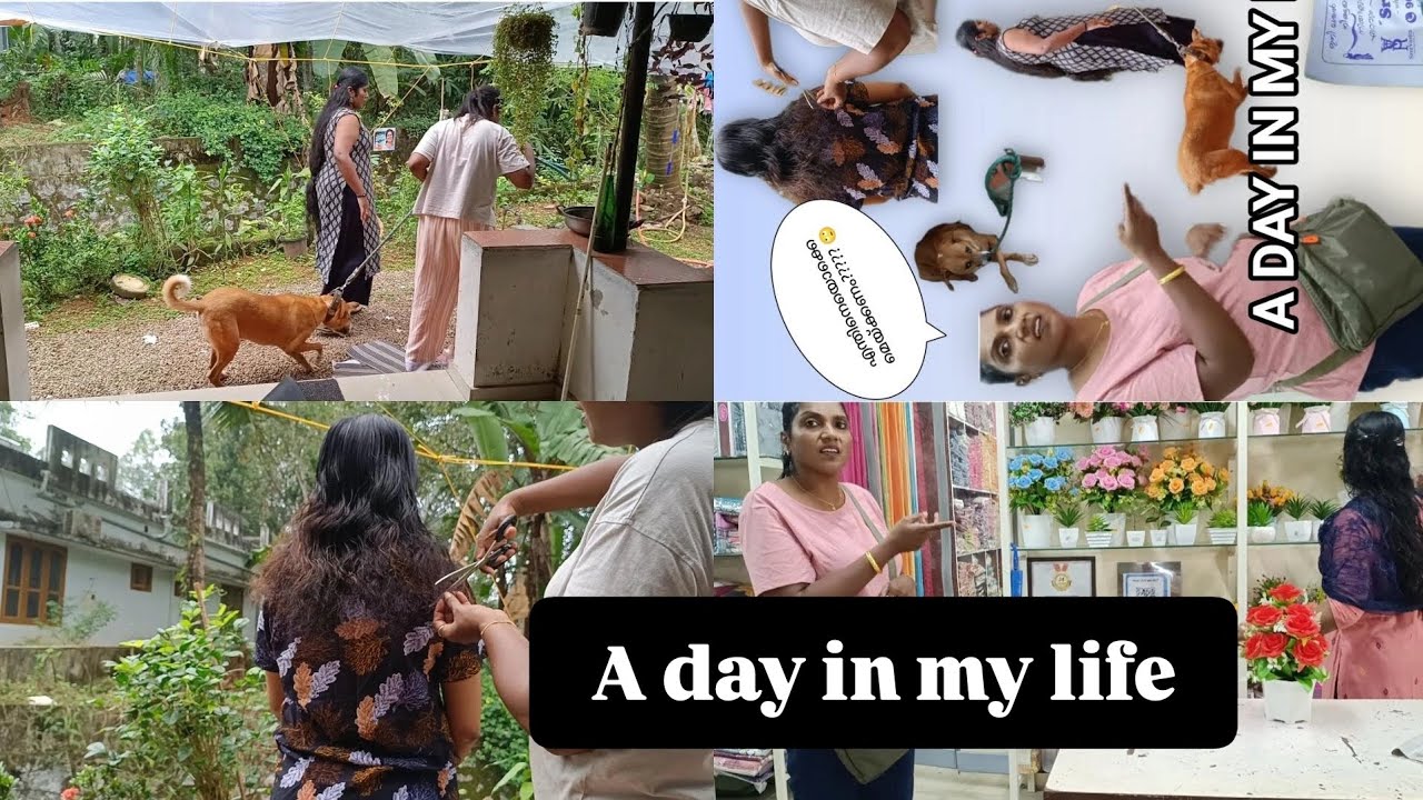 ഞാൻ എന്റെ മാളൂന്റെ മാത്രം അമ്മ അല്ല....🤗🤗🤗🤗🤗🥴🥴 #shortvideo #petlover#cat#catmother #petshub #fashion