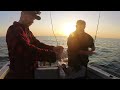Moreton Bay | Brisbane Inshore Sessions ft. Chucky