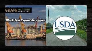 Russia/Ukraine War Slows Grain Exports AGAIN + USDA Yield Estimates this Week