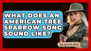 What Does An American Tree Sparrow Song Sound Like? - Bird Watching Diaries