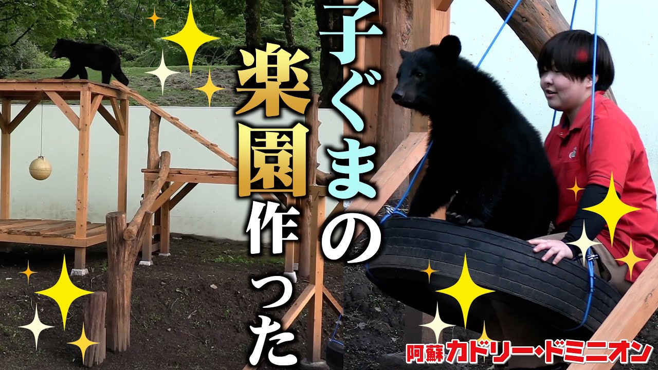 子ぐまが思いっきり遊べる遊園地を作った！初日の大事件をご覧ください