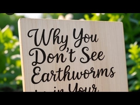 Why You Dont See Earthworms in Your Raised Bed or GardenAnd How to Attract Them by HydroHaven