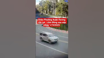 Chào Phường Xuân Hương -Đà Lạt , Lâm Đồng sau sáp nhập 1/7#2025 #dalat #travel #tintuc