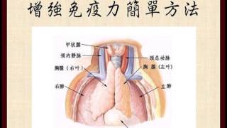 增強免疫力簡單方法