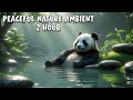 2-Hour Nature Zen Deep Calm – Extended Ambient Soundscape for Relaxation &amp; Sleep | Relaxing Panda