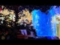 The Rainforest Cafe 2024
