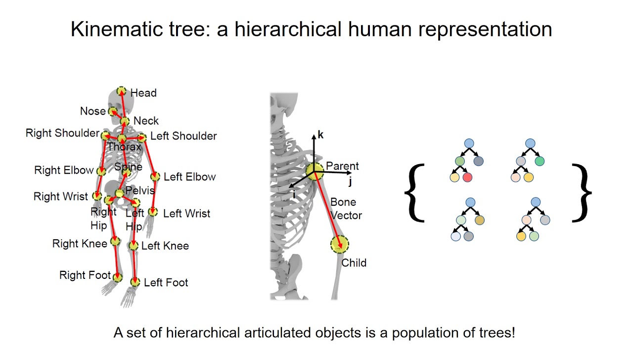 Cascaded Deep Monocular 3D Human Pose Estimation With Evolutionary ...