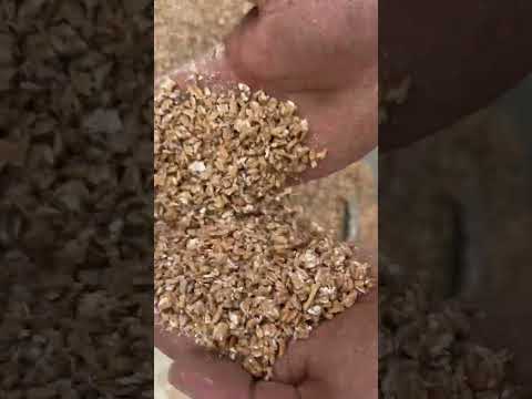 Видео: Плюшилка на 3квт на 380 . Тест ячмень, пшеница и кукуруза