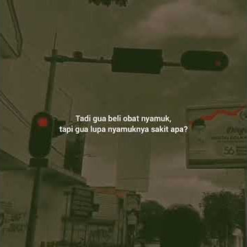 Story Wa Tadi gua beli obat nyamuk, tapi gua lupa nyamuknya sakit apa?
