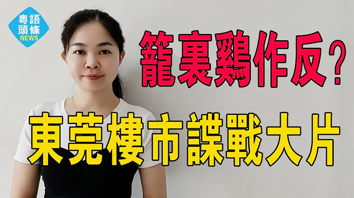 东莞楼市上演谍战大片：招商蛇口暗算华润置地，笼里鸡作反，华润置地偷袭万科，万科发文怒斥！#粤语 #大湾区楼盘 #中国楼市 #东莞 - 天天要闻