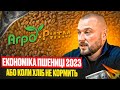 ЕКОНОМІКА ГЕКТАРУ ПШЕНИЦІ 2023: АБО КОЛИ ХЛІБ НЕ КОРМИТЬ.