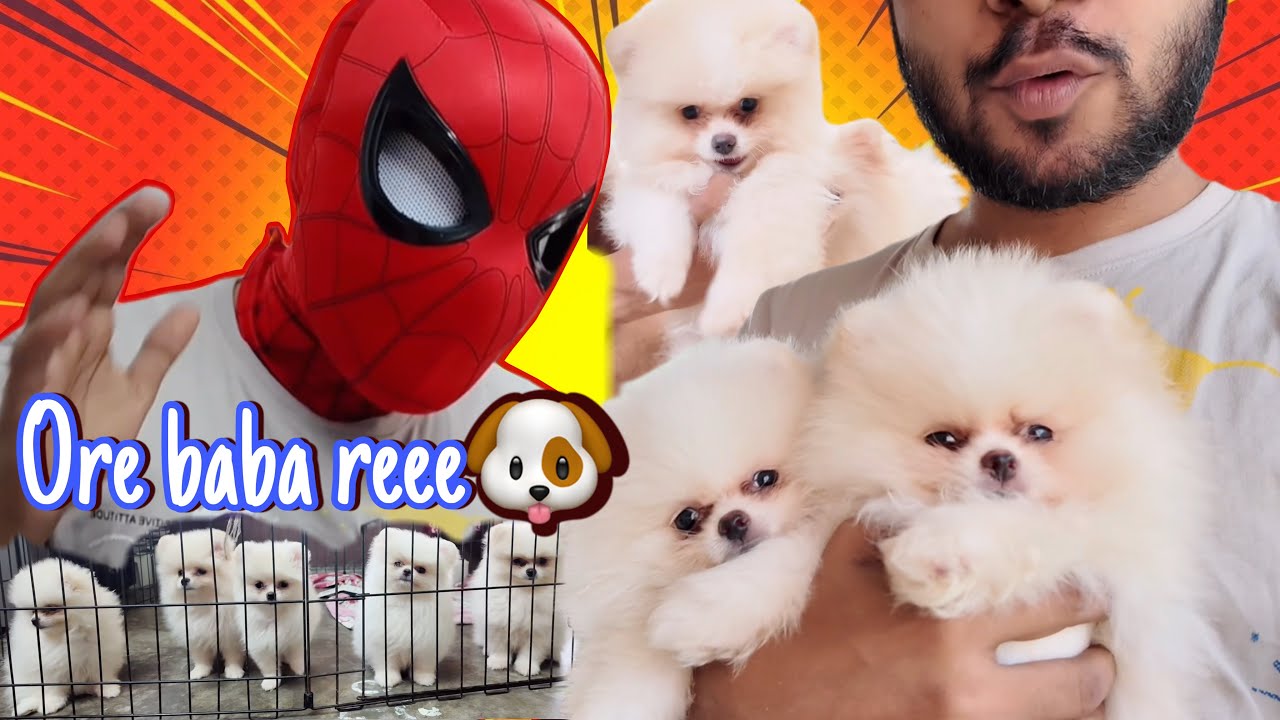 বেবিদের জন্য আজ ছাদ পরিষ্কার করা হলো😄🤗