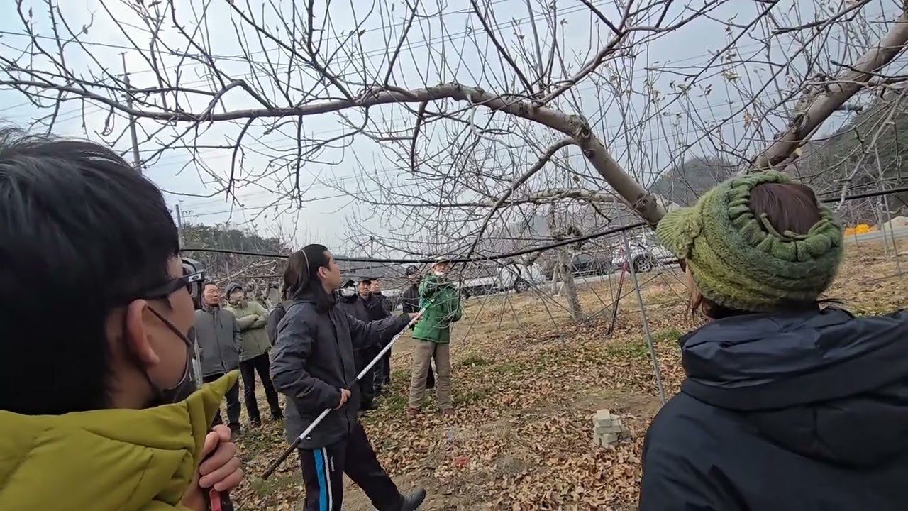 2025 01 20 감홍 마루바 오카다