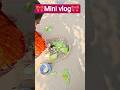 ଏଇଟା ଭଗବାନ ଙ୍କ ଆଶୀର୍ବାଦ ନୁହେଁ ତ ଆଉ କଣ??#Daily vlog #mini vlog#village girl@pragyasmitajena5346