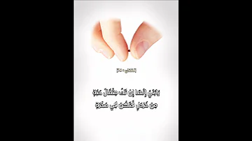 يا بني إنها إن تك مثقال حبة من خردل فتكن في صخرة أو في السماوات أو في الأرض يأت بها الله اسلام صبحي 