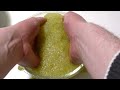 Slime Melting Experiment