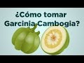 Cómo tomar Garcinia Cambogia para perder el apetito y bajar de peso