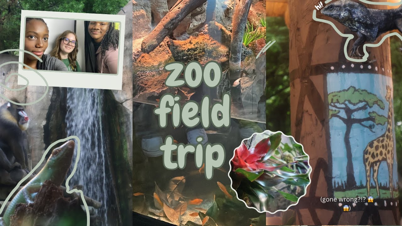 Zoo Field Trip Vlog School Field Trip Zoo Animals And Aquatic Zoo Field Trip Vlog School Field Trip Zoo Animals And Aquatic