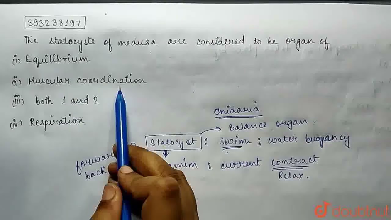 The statocysts ofmeduasa are considered to be organs of  | CLASS 11 | ANIMAL KINGDOM (NON CHORDA...