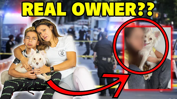 Did We Find The OWNER of The MISSING PUPPY?? **BIG INVESTIGATION** | The Royalty Family