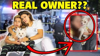 Did We Find The OWNER of The MISSING PUPPY **BIG INVESTIGATION** | The Royalty Family