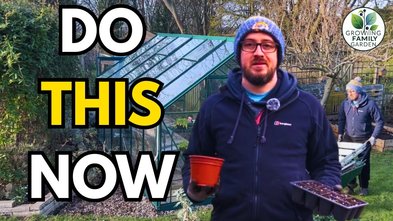 Chickens, Pruning & Early Sowings - February Garden Jobs You Should Be Doing Now!
