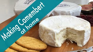 How to Make a CamembertStyle Cheese at Home