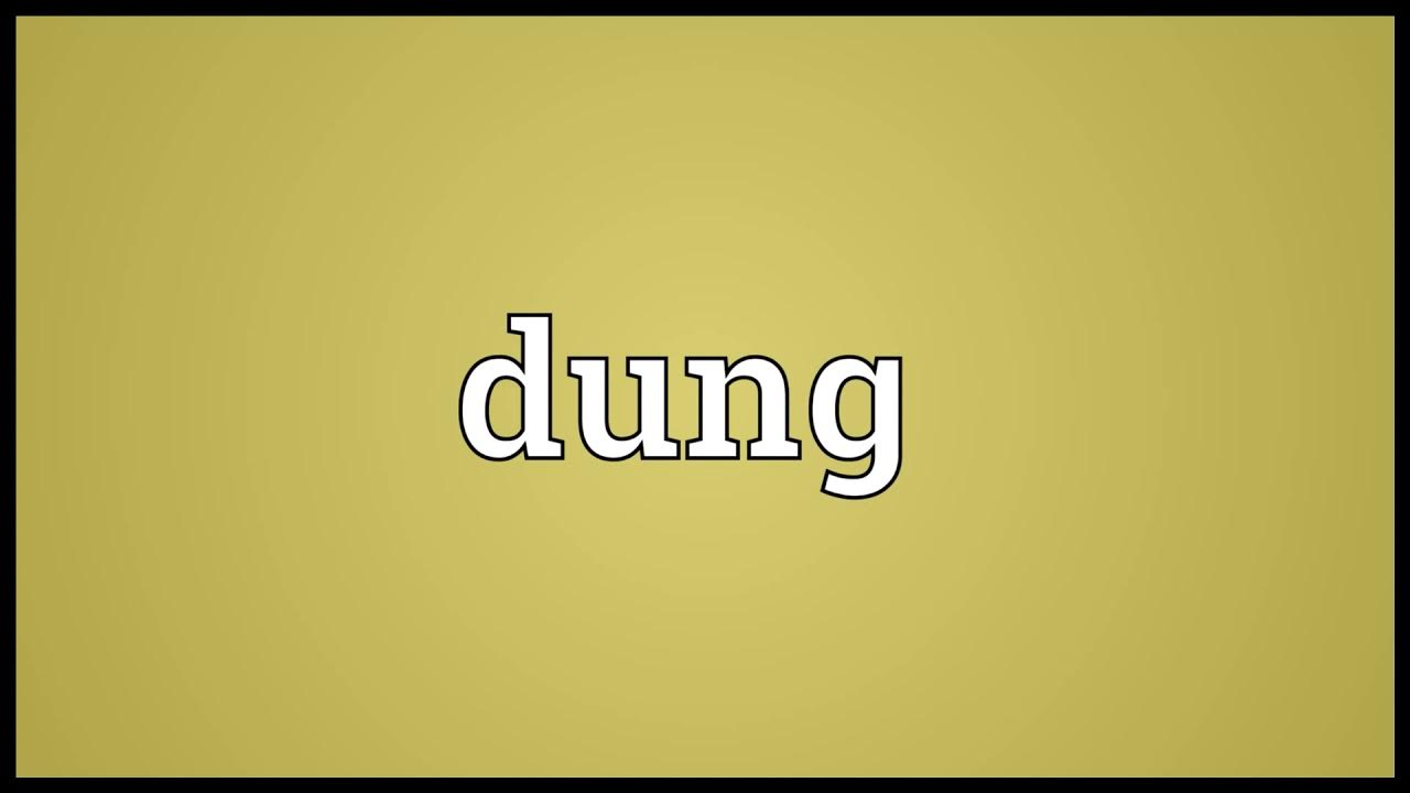 dung-meaning-youtube