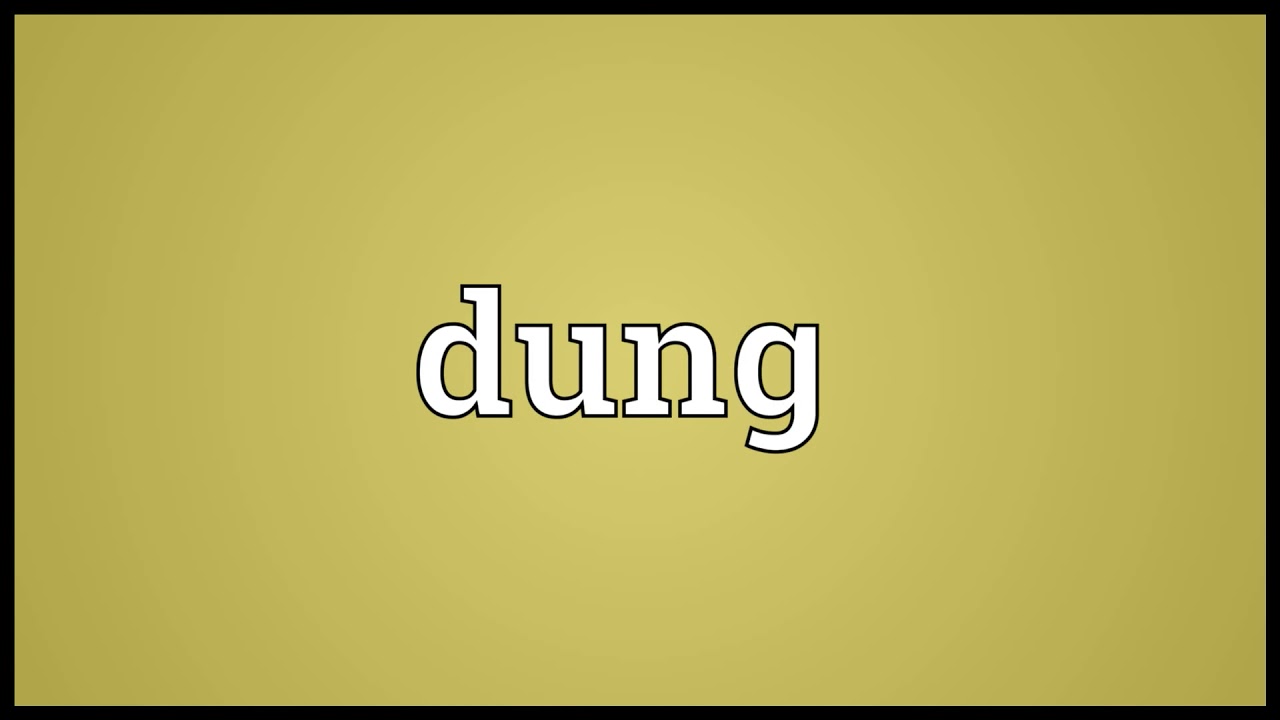 Dung Meaning YouTube Dung Meaning YouTube