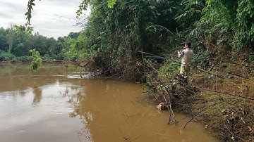 Câu Cá Sông Bé Bãi Câu Thoáng Mát Có Nhiều Loại Cá