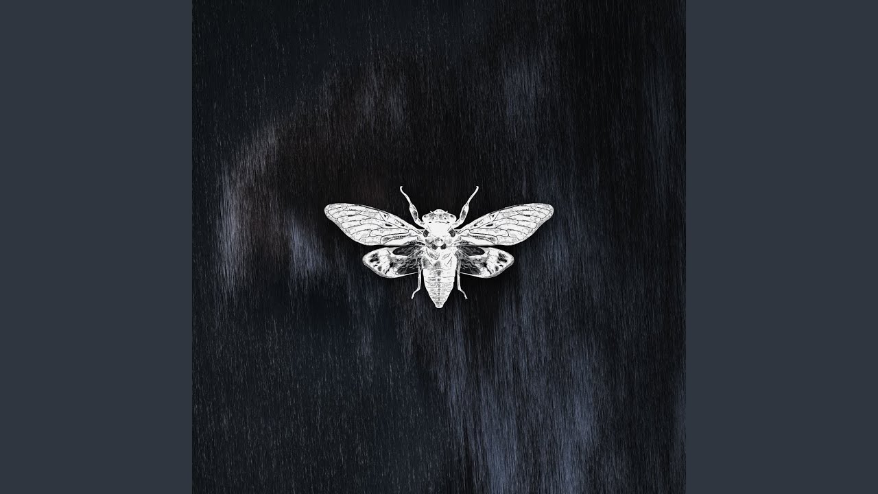 Skypager (Jones Halter Remix)