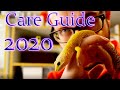 Leopard Gecko Complete Care Guide 2020