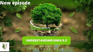 Understanding UNEA 5 2 with Alphonse Muia