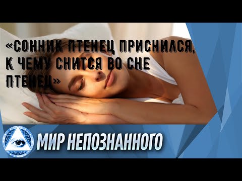 «Сонник Птенец приснился, к чему снится во сне Птенец»