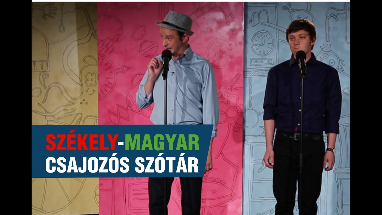 Szomszédnéni: Székely-magyar csajozós szótár