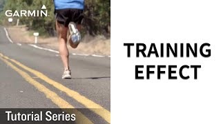 Tutorial – Training Effect