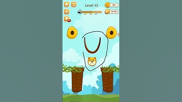 Save the pets level 13