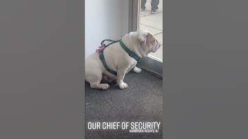 Our New Jersey frame shop security nicolekumpf