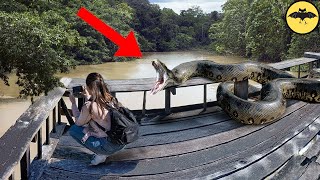 7 Scary Videos Filmed at the Jungle.