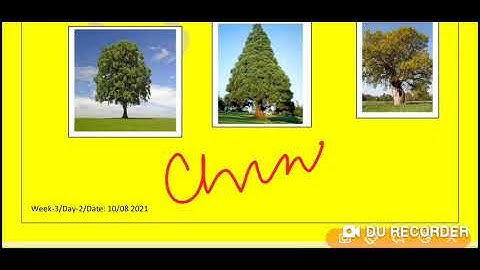 Grade 2 EVS Dated 10 08 2021