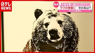 “クマの被害”乗り越え発売…白ワインの名前は？　青森・むつ（2021年6月30日放送「news every.」より）