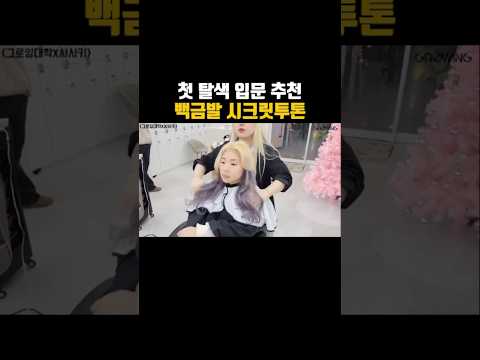 첫 탈색 입문 추천 백금발 시크릿 투톤