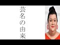 マツコ・デラックスが明かしたデラックスの芸名の経緯が意外過ぎた！！！